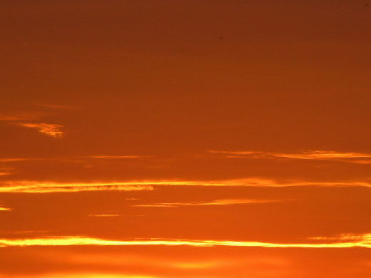 43954 (a): :1600x1200